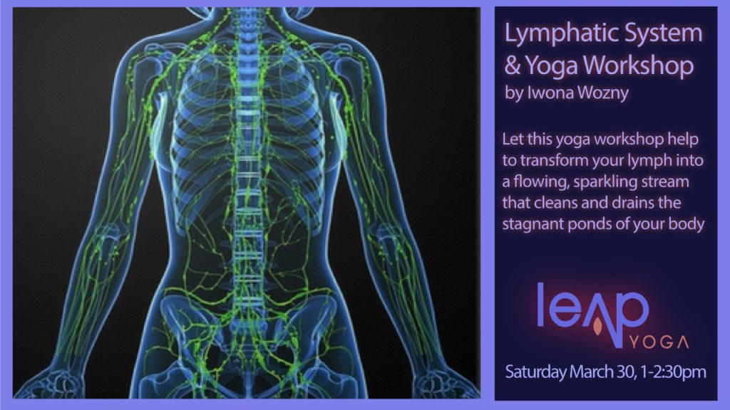 Lymphatic System & Yoga Workshop | Leap Yoga